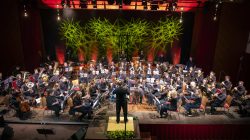 "Latin Night" - Konzert 2025